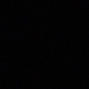 Meet your Posher, Presley